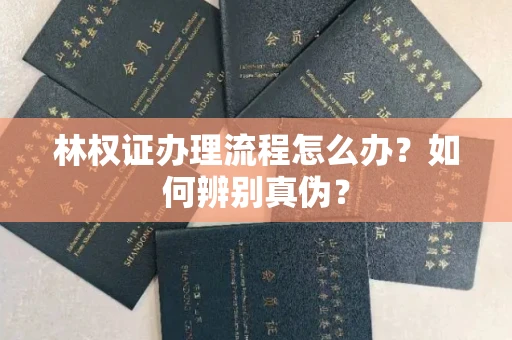 全国林权证办理流程怎么办?如何辨别真伪?