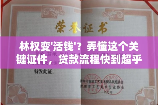 全国林权变'活钱'?弄懂这个关键证件,贷款流程快到超乎想象!