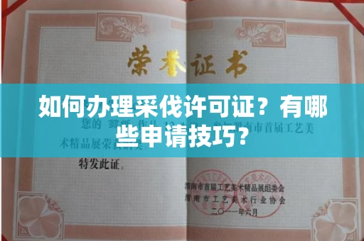 全国如何办理采伐许可证?有哪些申请技巧?